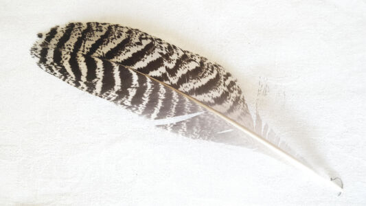 The Blockprint Tree - scrapbook - scarf infinity 1