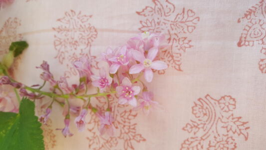 The Blockprint Tree - scrapbook - scarf pink city 8